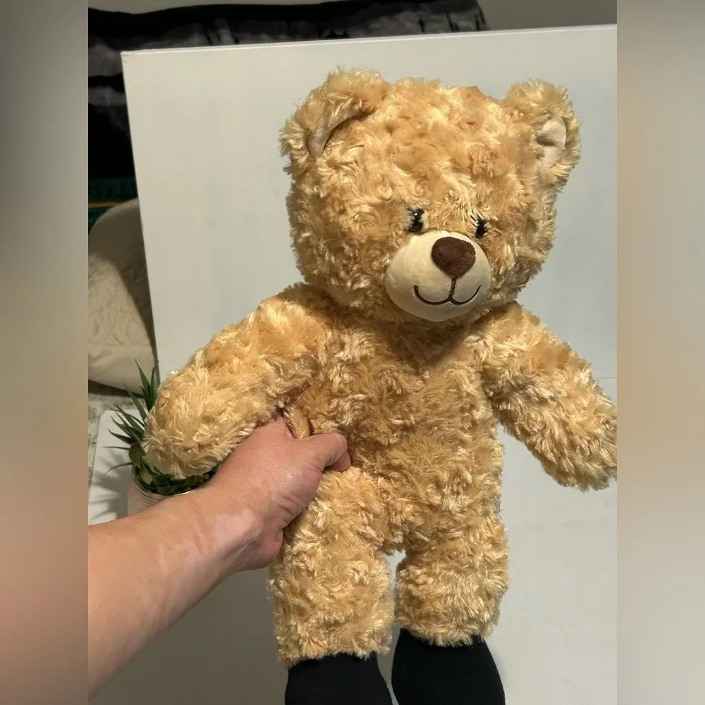 Build-A-Bear Fluffy Tan and Black Teddy